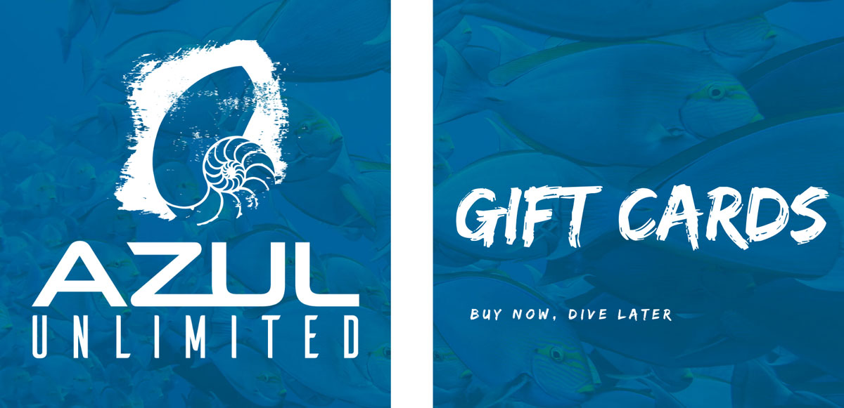 The Perfect Gift scuba diving komodo