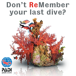 Padi ReActivate scuba diving refresher tips
