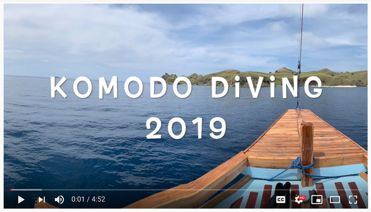 scuba diving in komodo