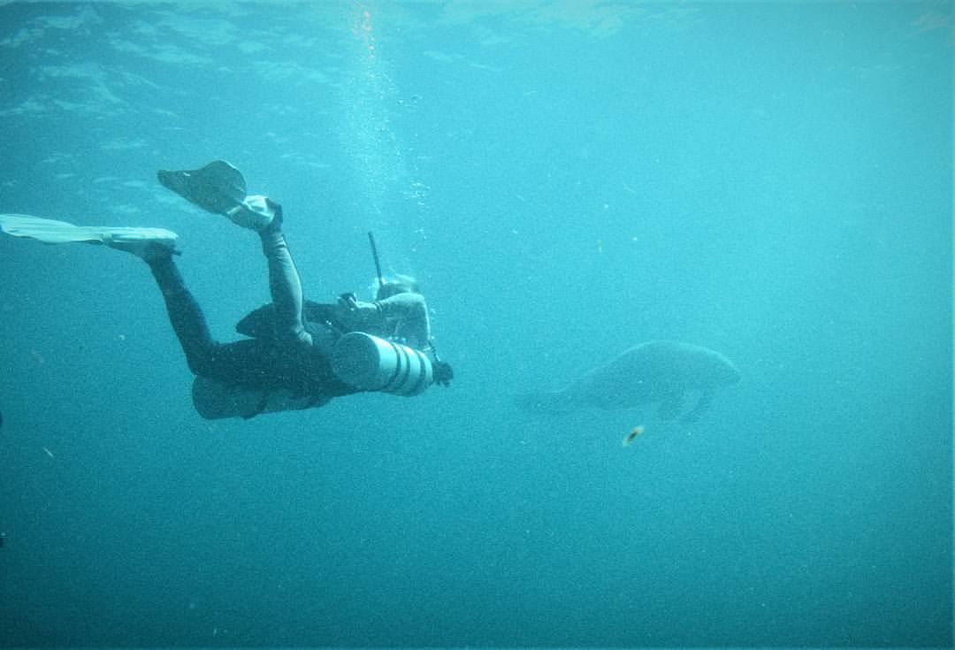 dive sites in Komodo