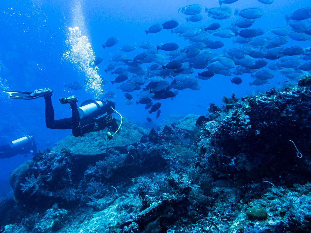 Cuánto tiempo dedicarle a Labuan Bajo