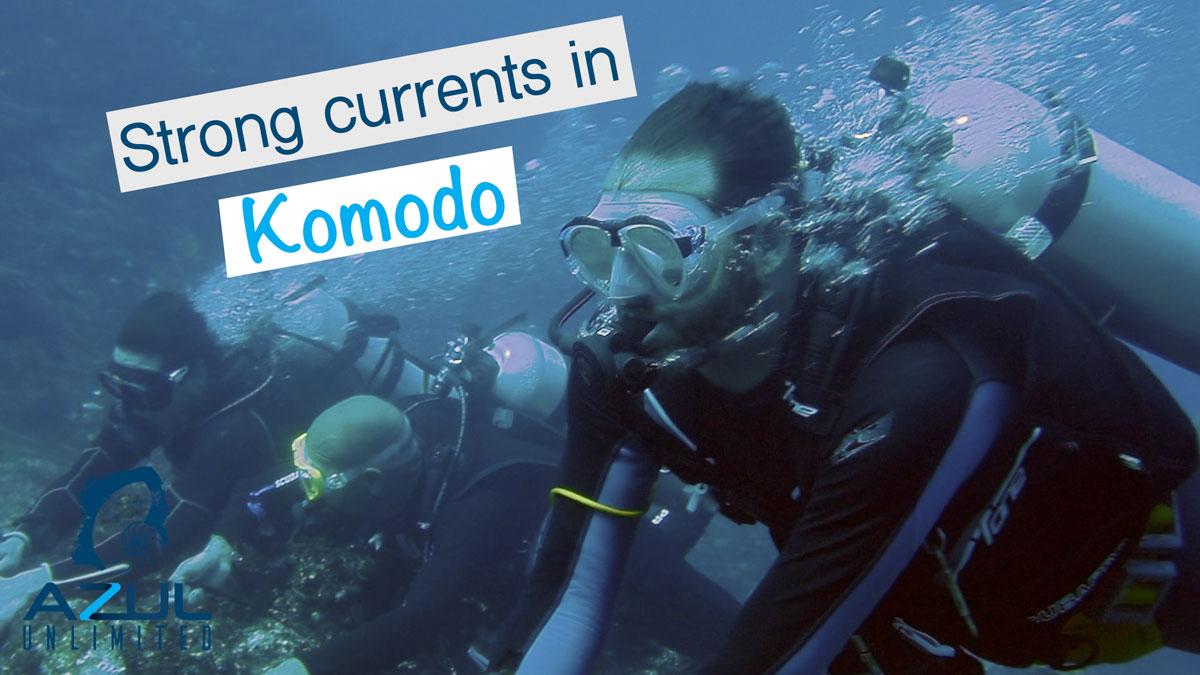 Los mejores buceos en corriente de Komodo