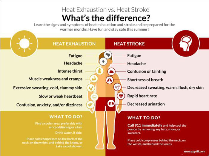 Heat Loss and Hypothermia When Diving