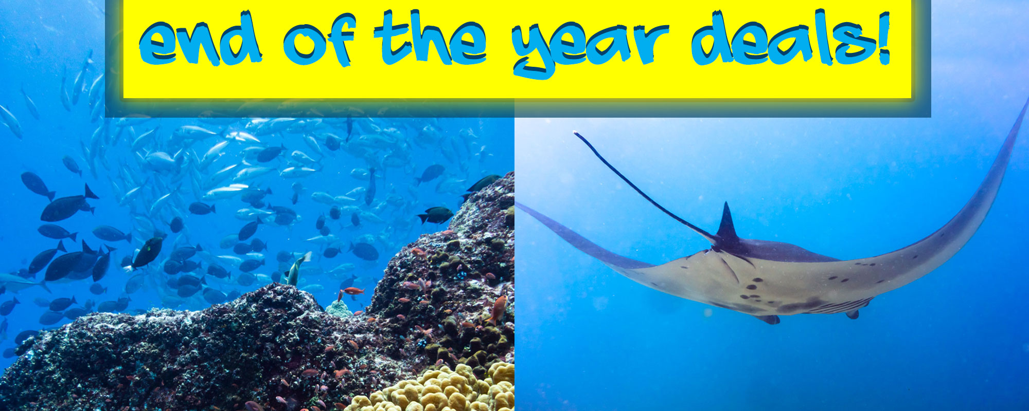 Celebrate with us! scuba diving in komodo