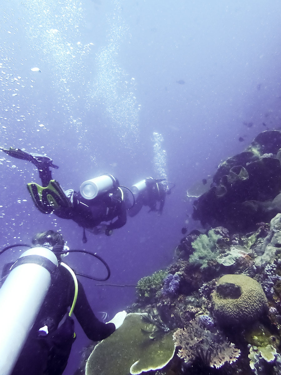 Batu Bolong komodo