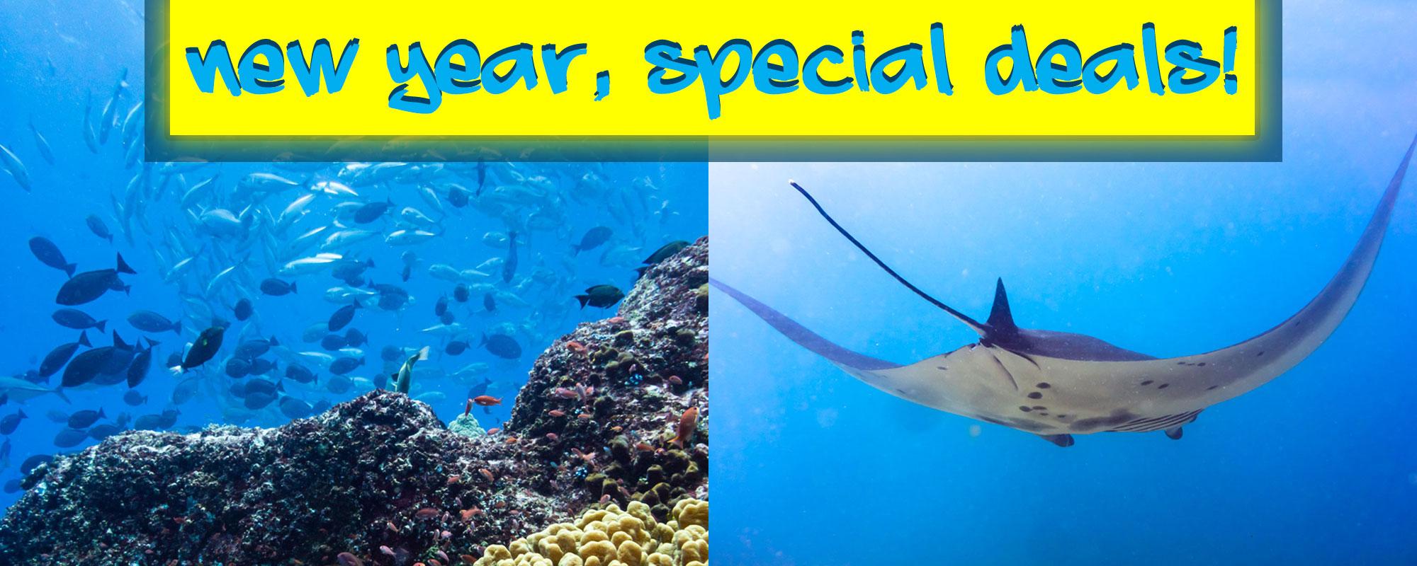 Discounts 2020 scuba diving in komodo