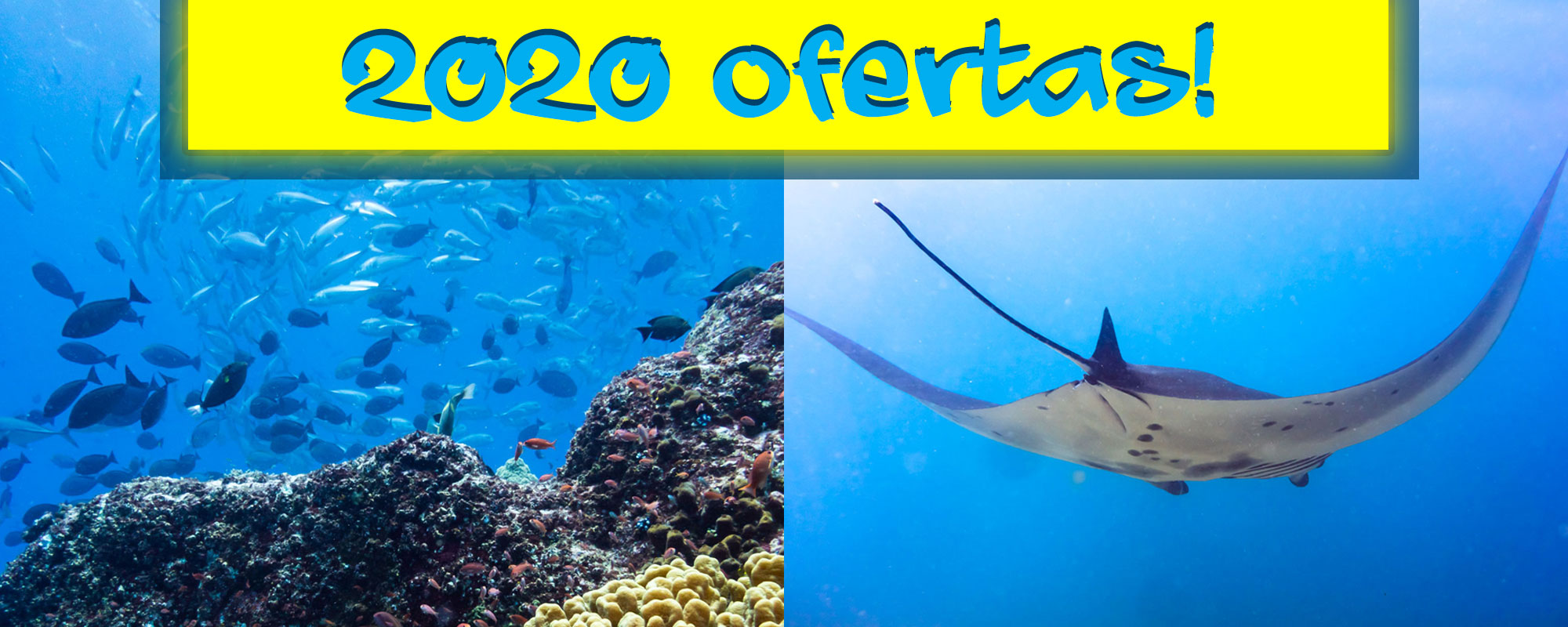 Ofertas 2020 buceo en Komodo