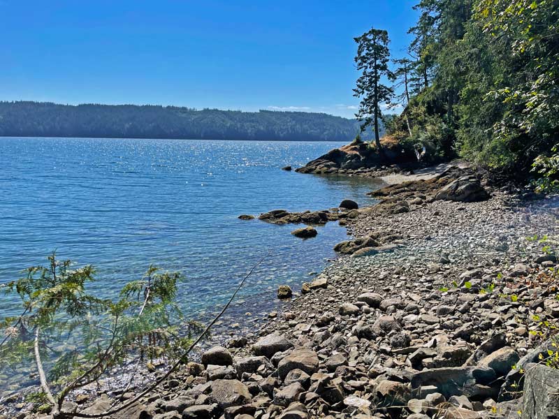 scuba diving at sund rock hoodsport washington