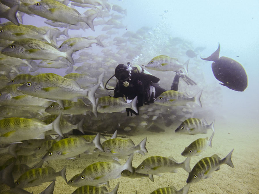 Freediving in Mono Lake - Azul Unlimited