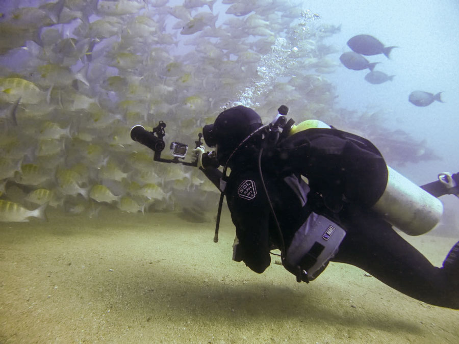 dive cabo pulmo