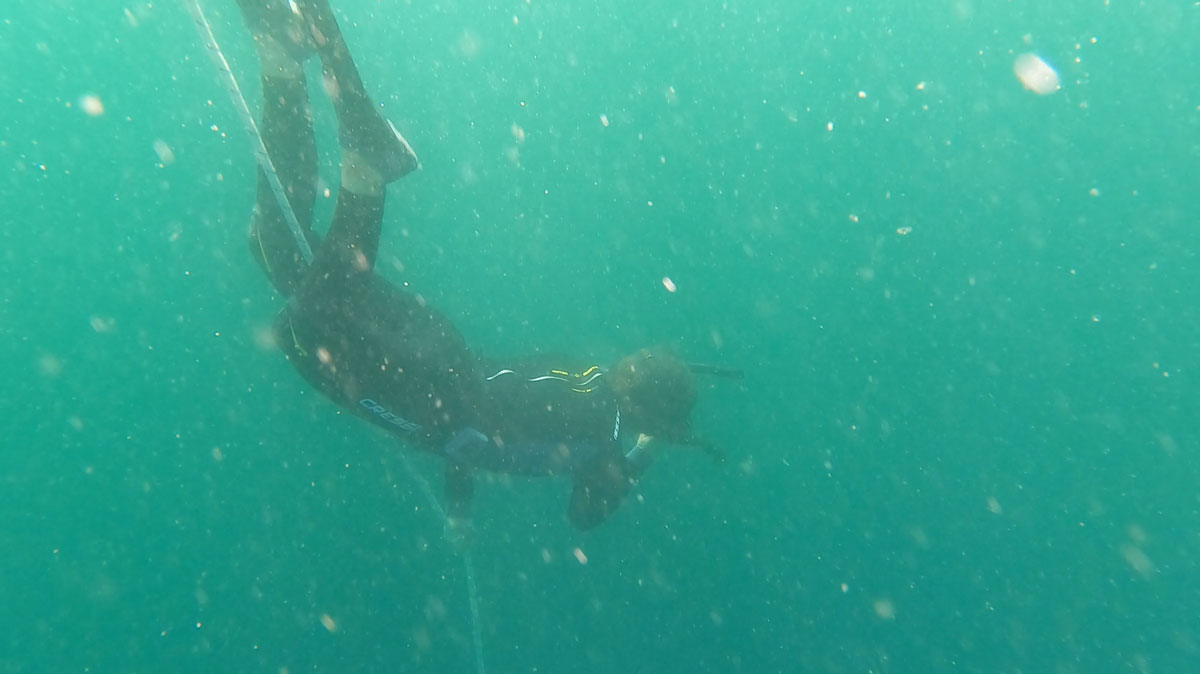 freediving course cabo san lucas