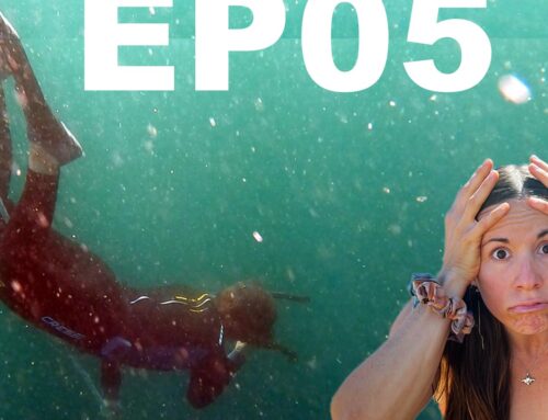 VOLVER A MÉXICO EPISODE 07