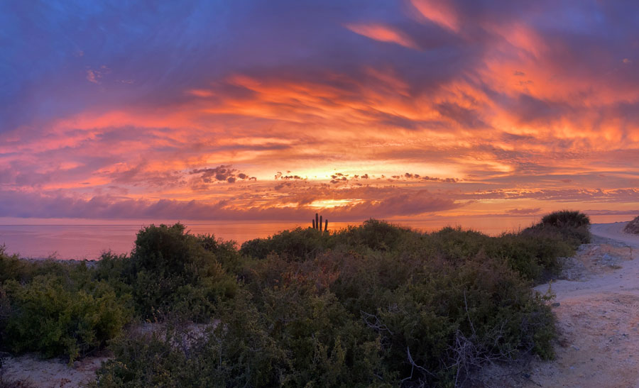 van life campsites in Baja California