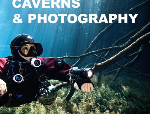 Underwater Photography in a Cenote