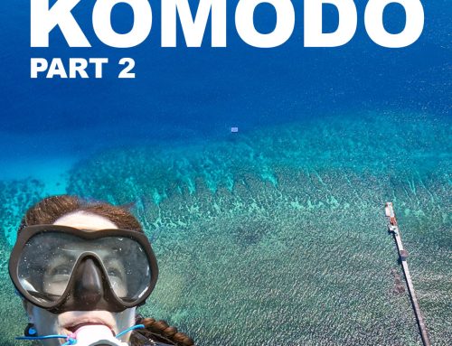 A private island disaster in Komodo