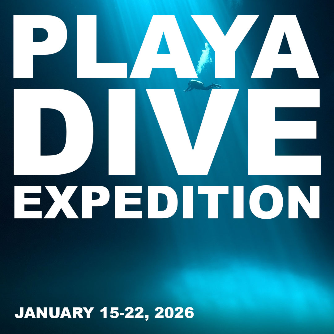 playa del carmen dive trip 2026