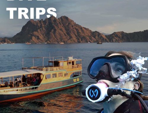 Tips for liveaboard diving