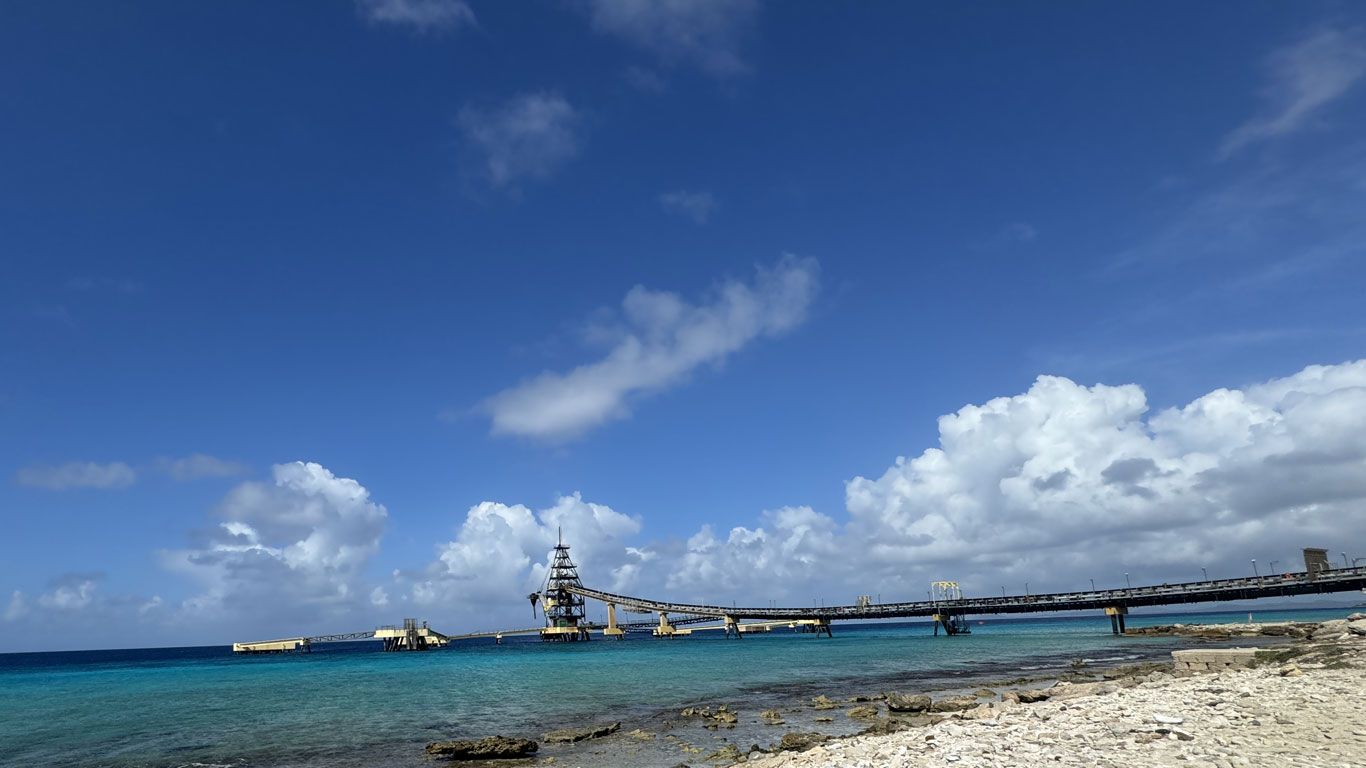 salt pier diving bonaire