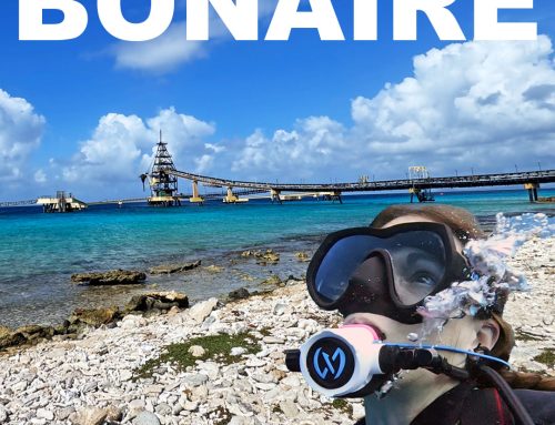 Shore diving in Bonaire