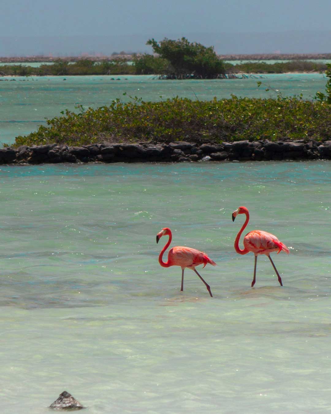 bonaire dive trip