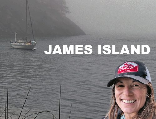 Cruising to the San Juan Islands