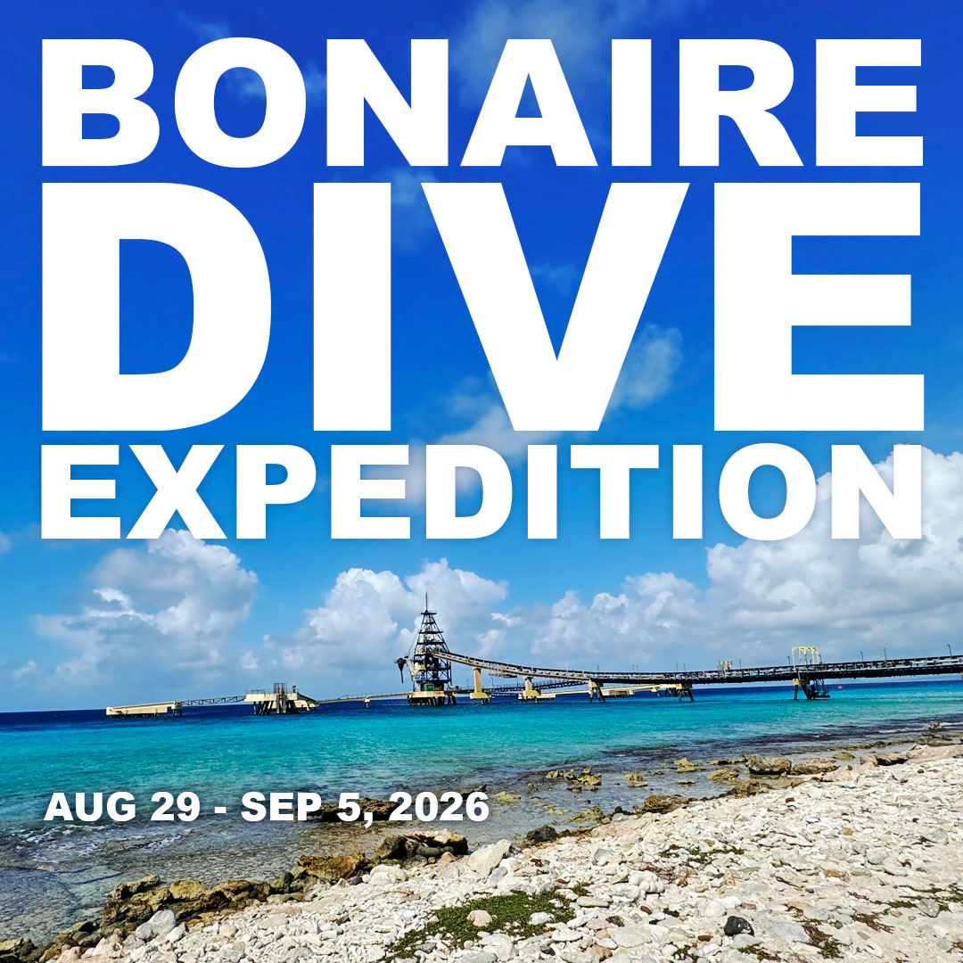 bonaire dive trip 2026