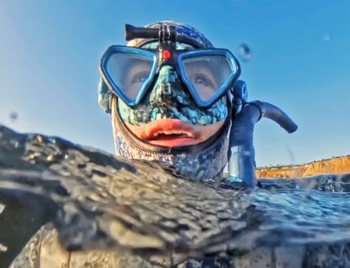 Vegetarian learns about spearfishing