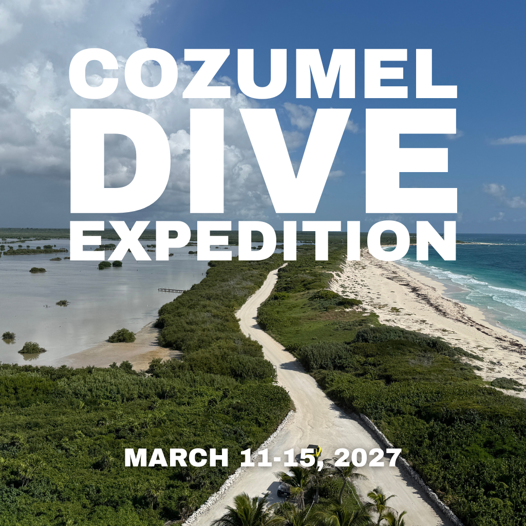 Cozumel dive expedition 2027 square Cozumel dive trip 2027
