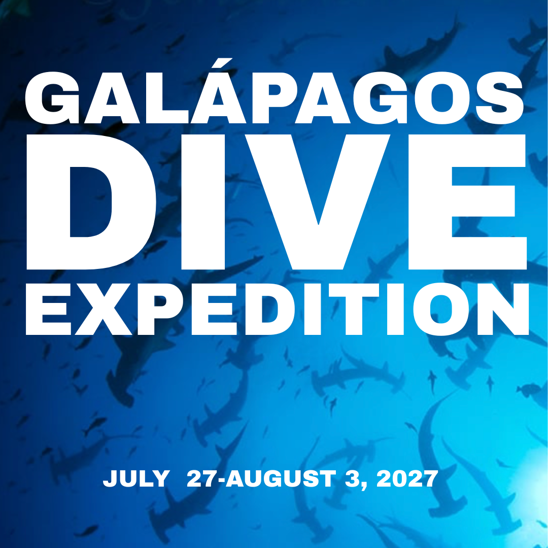 GALAPAGOS (1080 x 1080 px) galapagos dive trip 2027