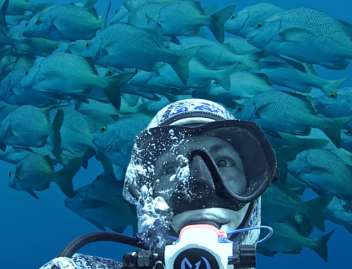 10 reasons why scuba diving isn’t so scary