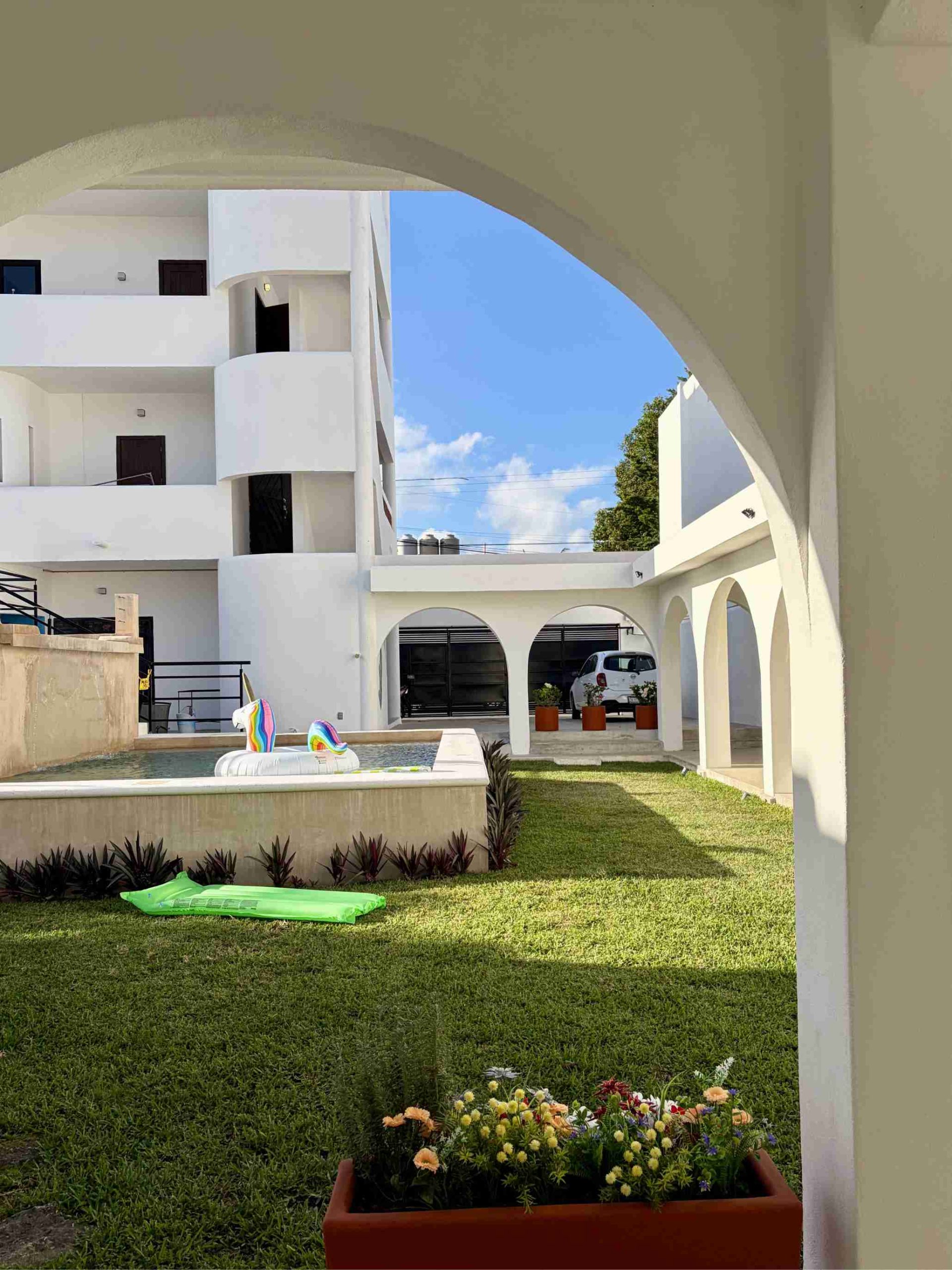 Untitled design-3 cascada Maya Cozumel dive trip