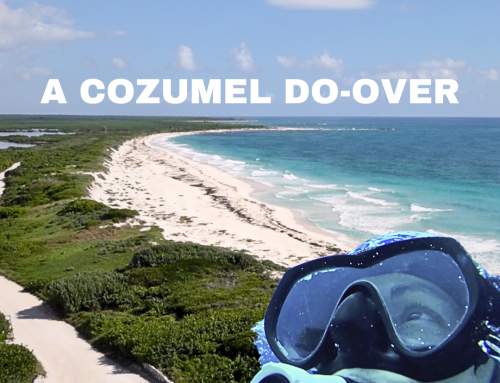 Finding my spot in Cozumel